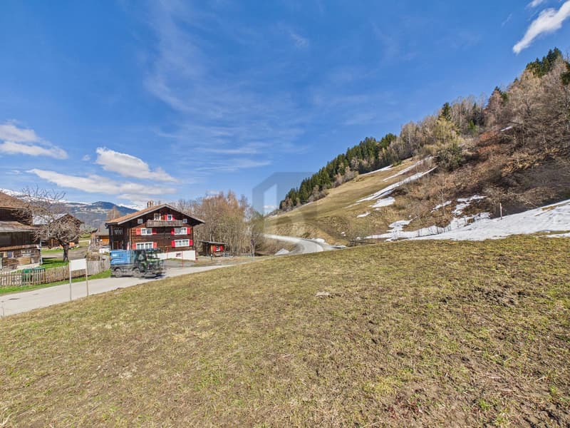 Dream plot with ski-in/ski-out (3)