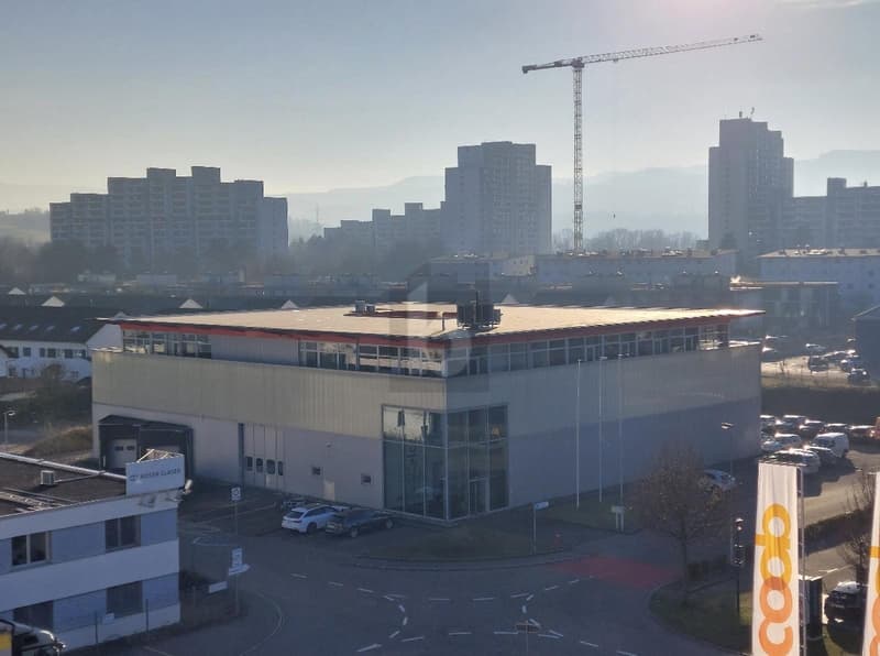 Rappresentativo con molta luce del giorno (5)