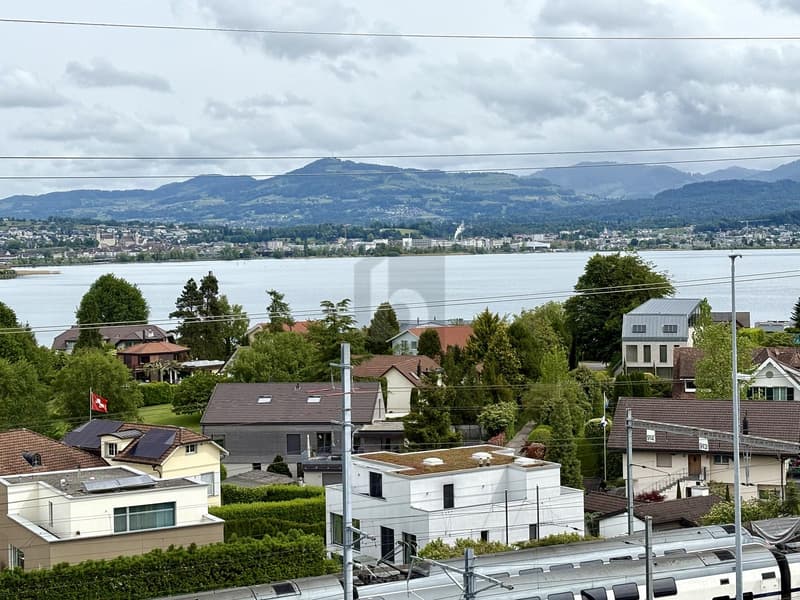 Rappresentativo con vista sul lago e terrazze (1)