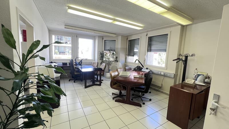 RENOVATED, FUNCTIONAL & BRIGHT (1)