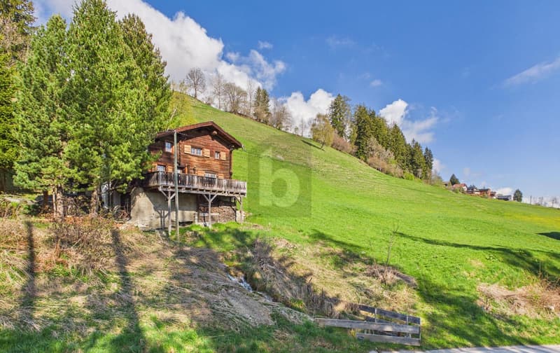 IDYLLE DE MONTAGNE À HEINZENBERG (1)