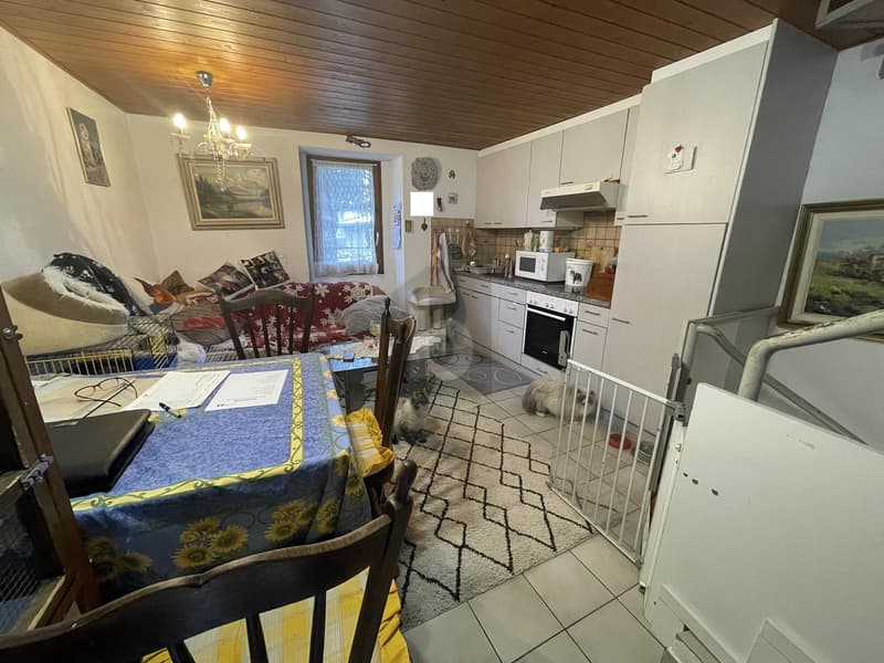 EINZELNES HAUS IM KERN (1)