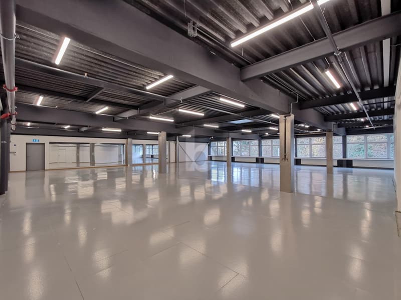 Multifunctional room - office / storage / production (1)