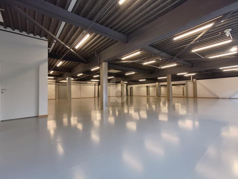 Multifunctional room - office / storage / production (3)
