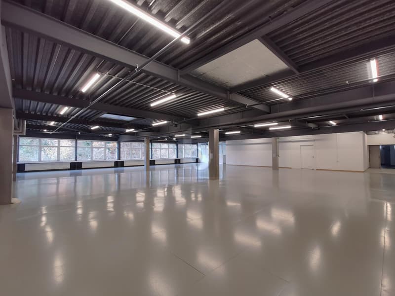 Multifunctional room - office / storage / production (2)