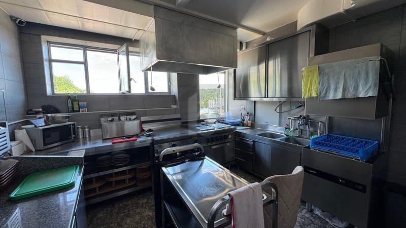 FRESHLY RENOVATED WITH LARGE TERRACE (5)
