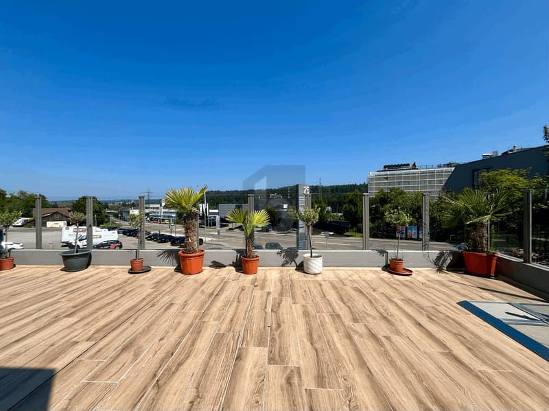 FRESHLY RENOVATED WITH LARGE TERRACE (1)