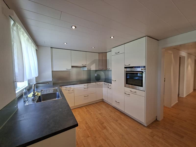 LUMINOSO, AMICALE CON PANORAMA MONTANO (3)