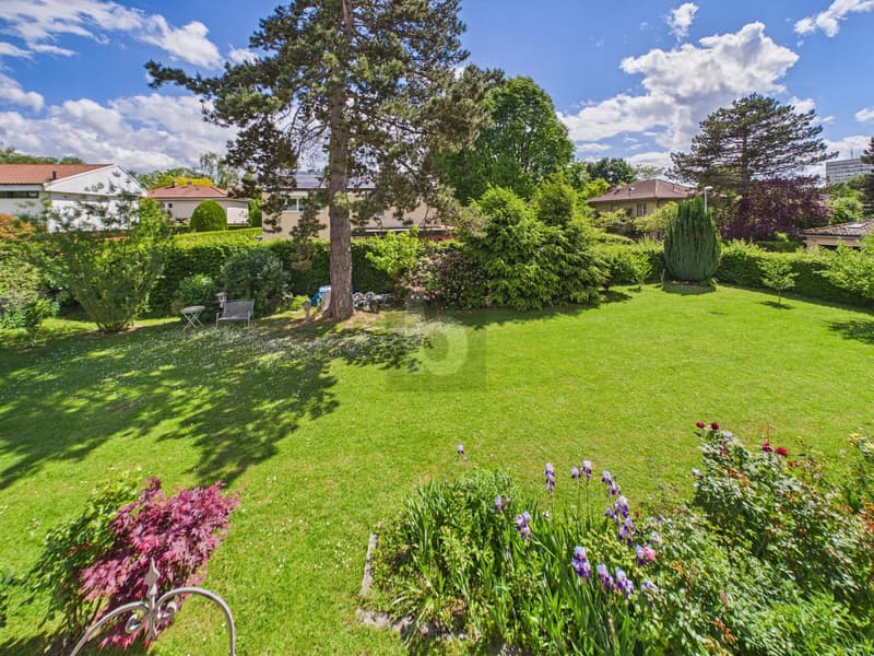 TOP LOCATION WITH HUGE SURROUNDINGS (2)