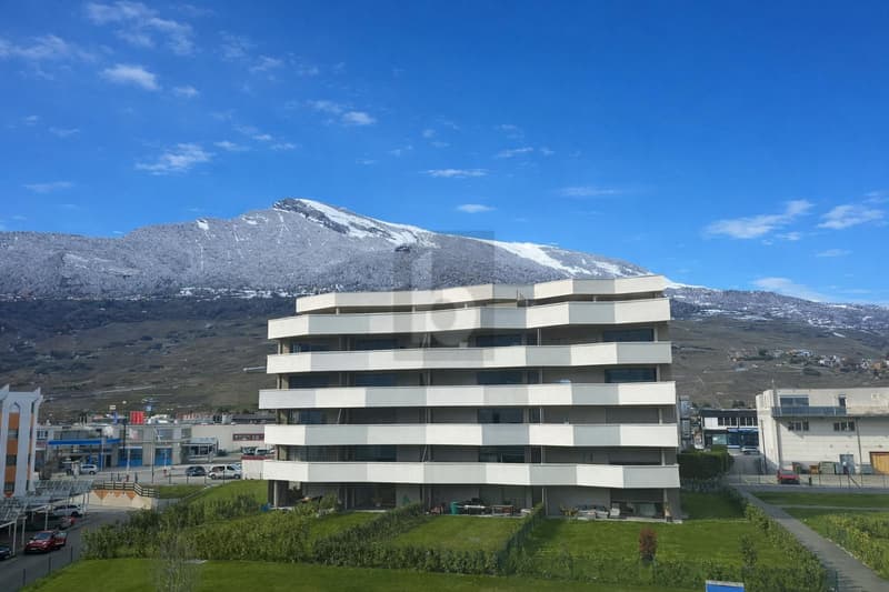 LUMINEUX AVEC VUE SUR LES MONTAGNES (1)