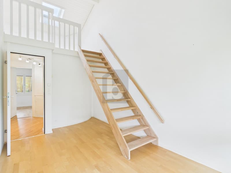 Elegante con galleria e caminetto (4)
