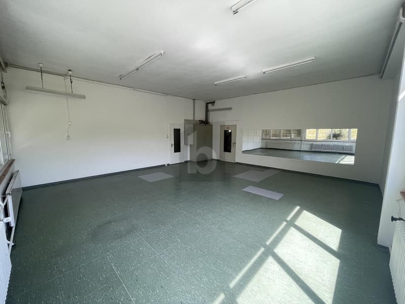 IDEAL CONDITIONS FOR YOUR BUSINESS (5)