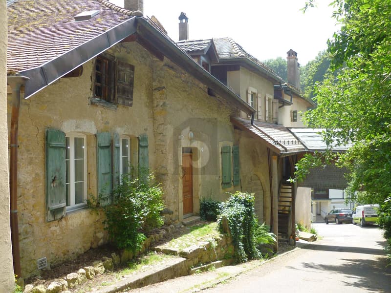 DUPLEX ATYPIQUE CHALEUREUX (1)