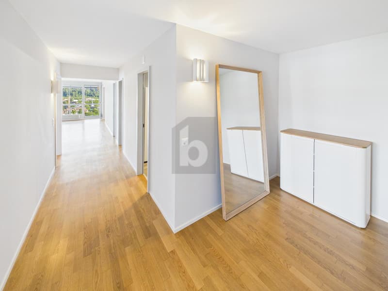 Moderne avec Vue Panoramique (3)