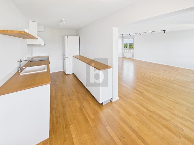 Moderne avec Vue Panoramique (4)