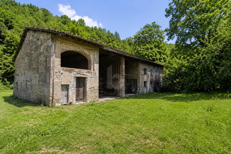 Entre la nature et la tranquillité, à rénover (1)