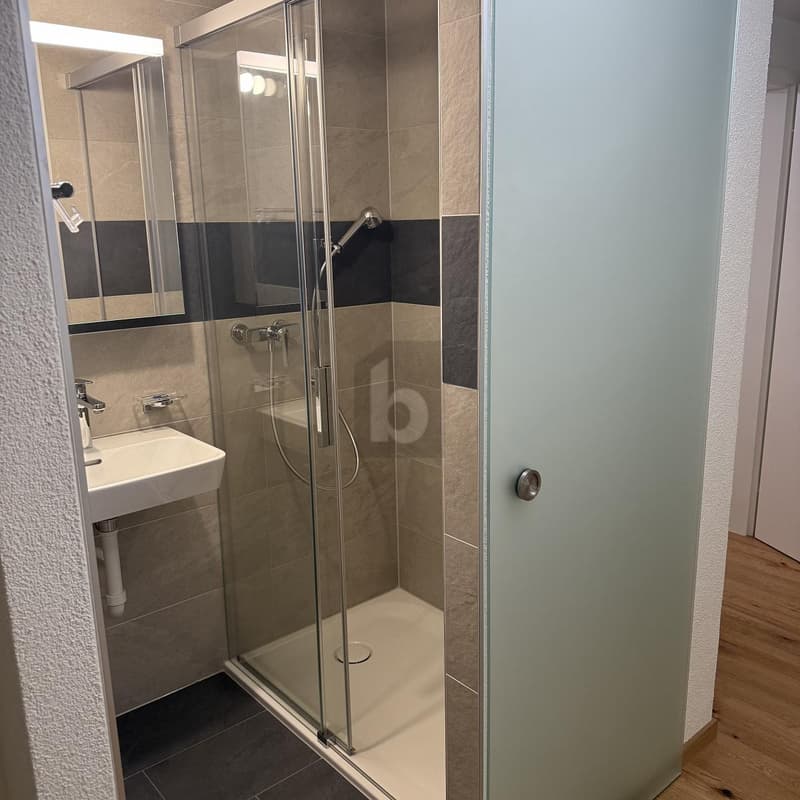 Moderni con alto comfort (5)
