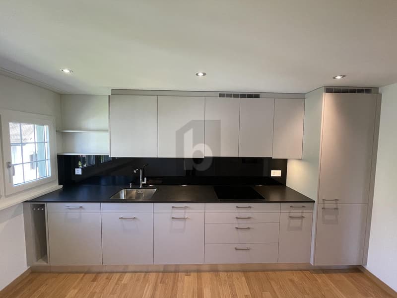 Rêve moderne avec ambiance luxueuse (2)