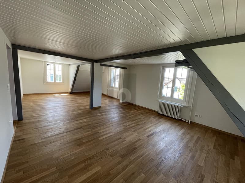 Rêve moderne avec ambiance luxueuse (1)