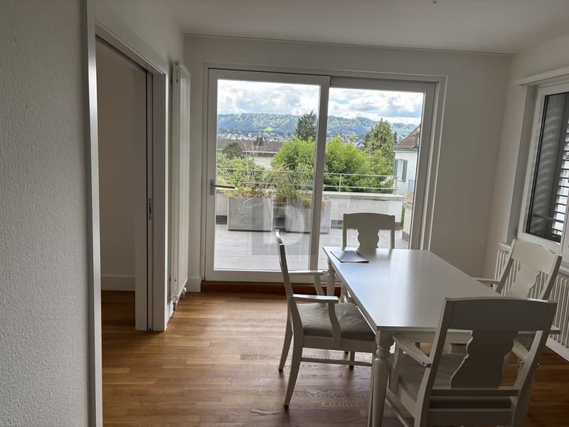 Avec son propre jardin et grande terrasse ensoleillée ! (4)