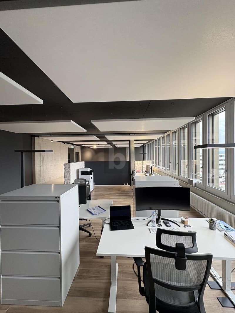 MODERNE BÜROS IM WACHSENDEN GEWERBEZENTRUM (4)