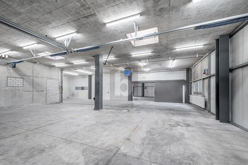 SPACIOUS, STRUCTURED AND PROFESSIONAL (2)