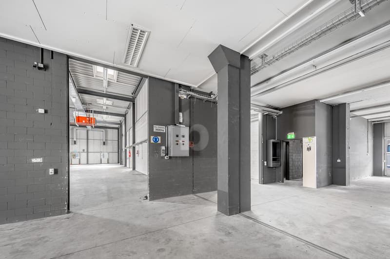 SPACIOUS, STRUCTURED AND PROFESSIONAL (4)