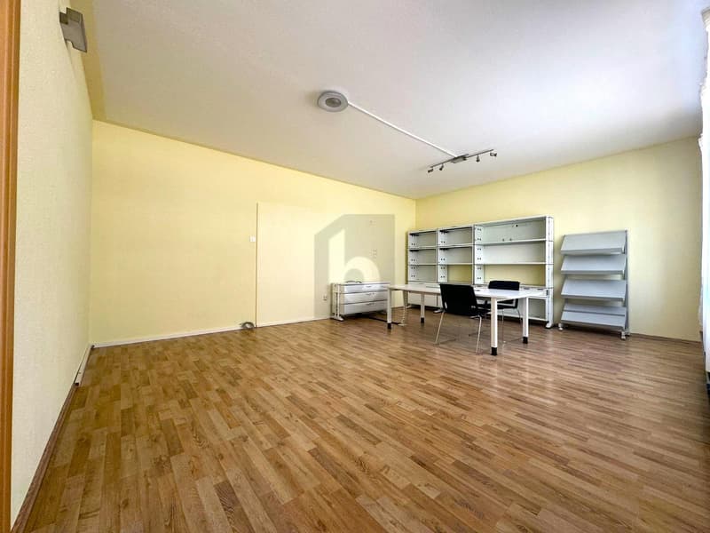 Bright office with large windows (3)