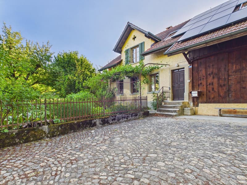 NEUBAU STANDARD, HISTORISCHES GEBÄUDE, GARTEN (1)