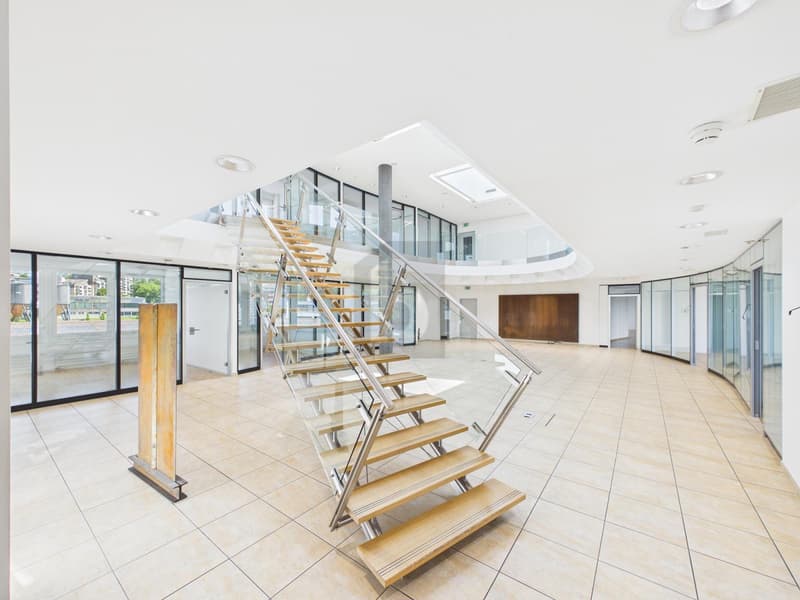 HUGE PRODUCTION HALL IDEAL FOR YOUR BUSINESS (2)