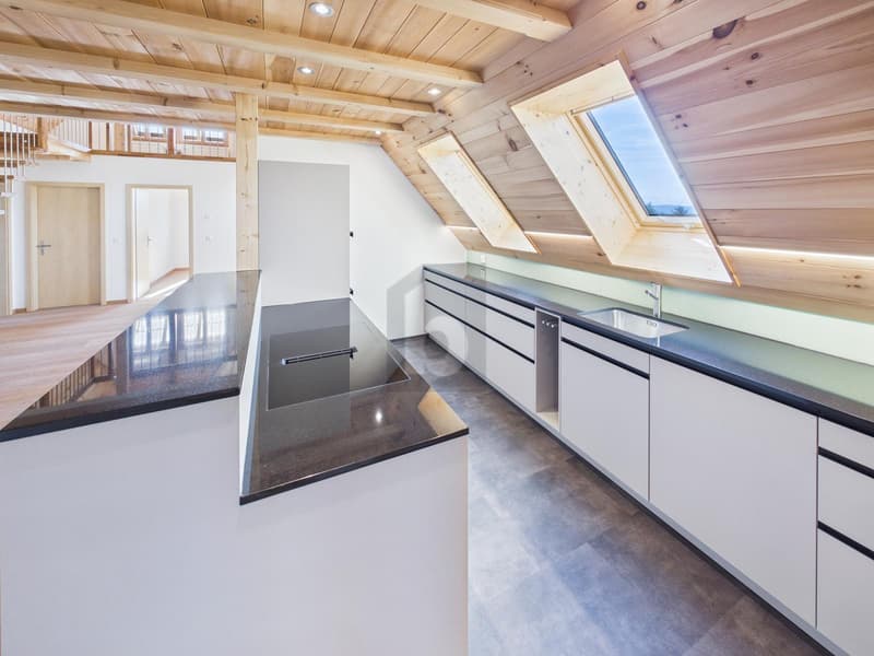 NATURE, ESPACIEUX AVEC GALERIE (4)