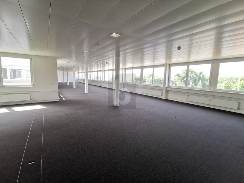 SPACIOUS, BRIGHT AND IN A GOOD LOCATION (2)