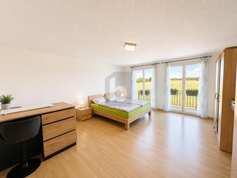 SPACIOUS WITH GARDEN AND BALCONY (4)