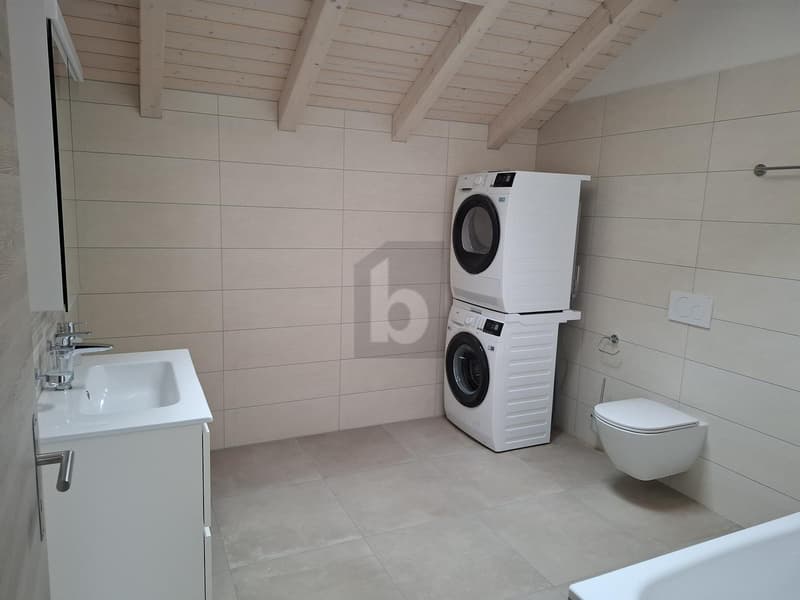 New, spacious, bright and modern attic (5)