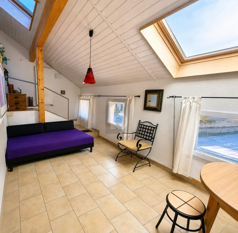 Ampio duplex con balcone (2)