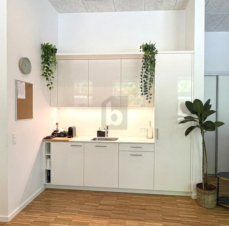 Light-Flooded and Modern (2)