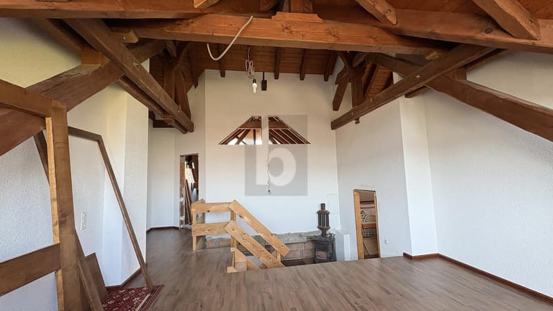 VERY GREAT POTENTIAL ON A LARGE PLOT (4)