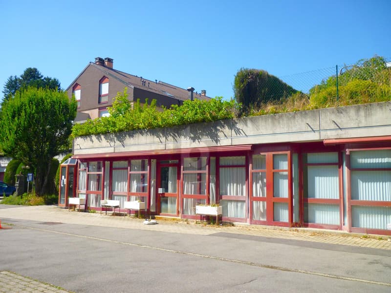 GRANDS ESPACES MODULABLES LUMINEUX ! (2)