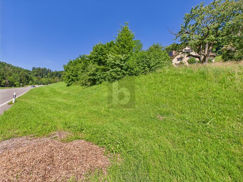 RARE OPPORTUNITY IN TOP LOCATION (1)