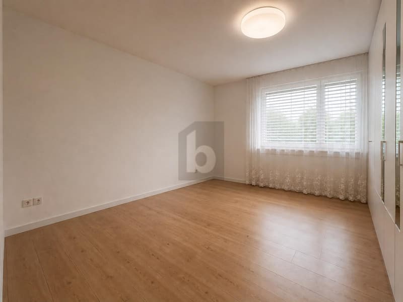 SPACIOUS WITH FIREPLACE (2)