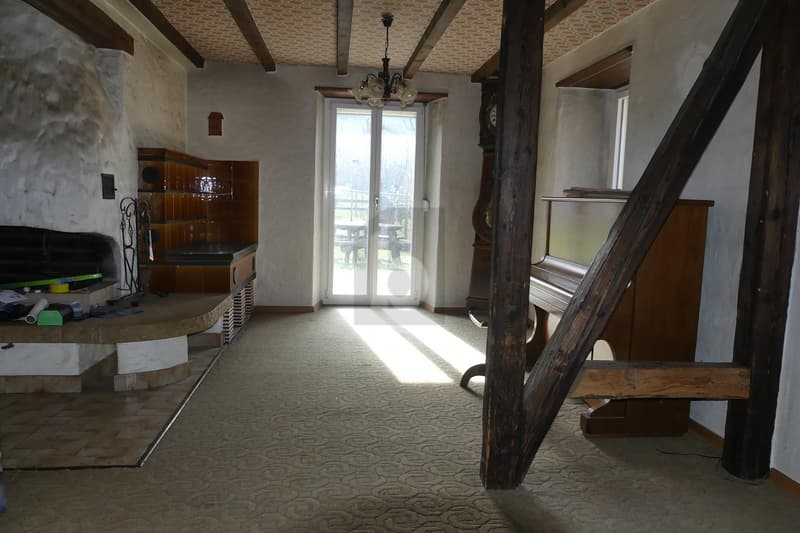 Landhaus (Ideal für Tiere) (3)