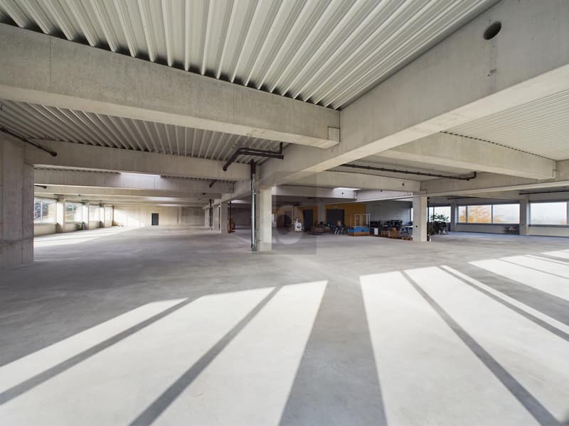ENORMOUS ASSEMBLY HALL, IDEAL FOR YOUR BUSINESS (4)