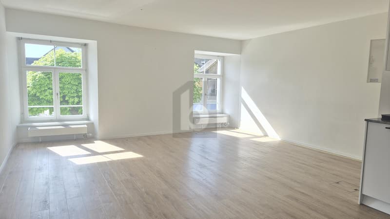 SPACIOUS AND BRIGHT (3)