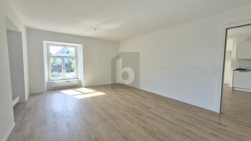 SPACIOUS AND BRIGHT (4)