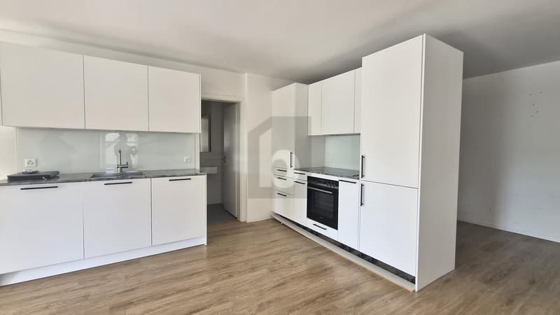 SPACIOUS AND BRIGHT (2)