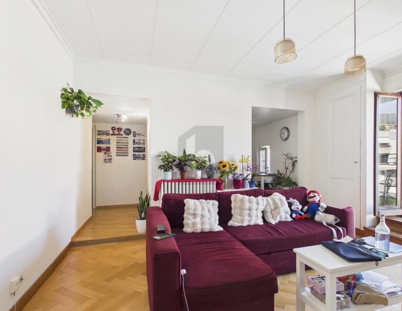 Dachgeschoss mit Balkon in Servette-Charmilles (3)
