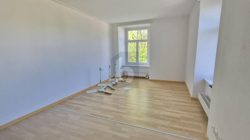 CHARMANT & IDEAL LOCATION (3)