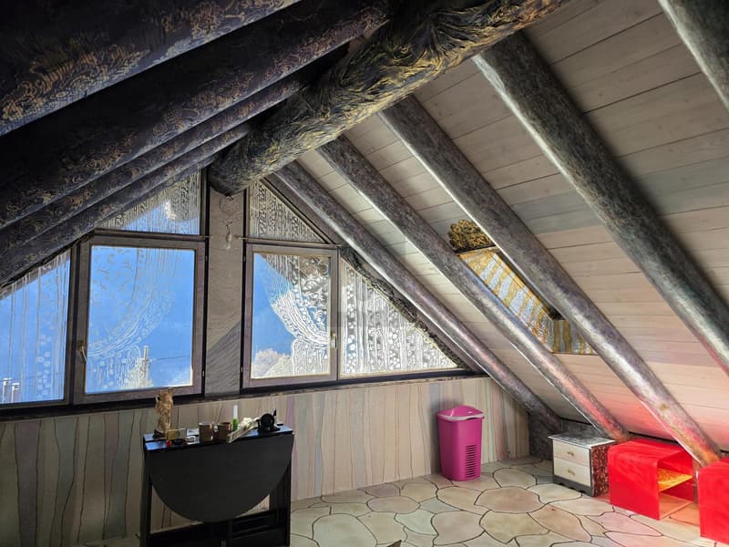 Spacious and sunny with a view (4)