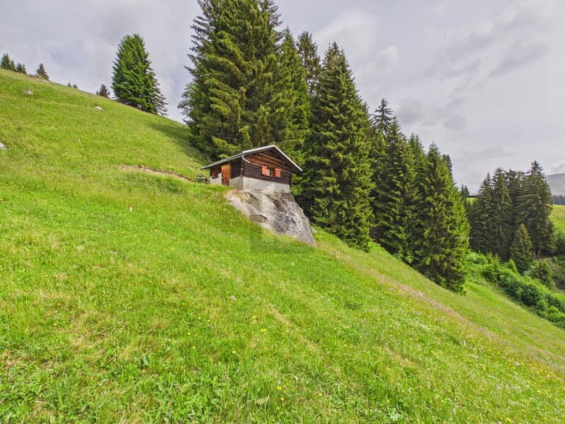 NATURE PARADISE WITH DREAMY LONG-DISTANCE VIEW (2)