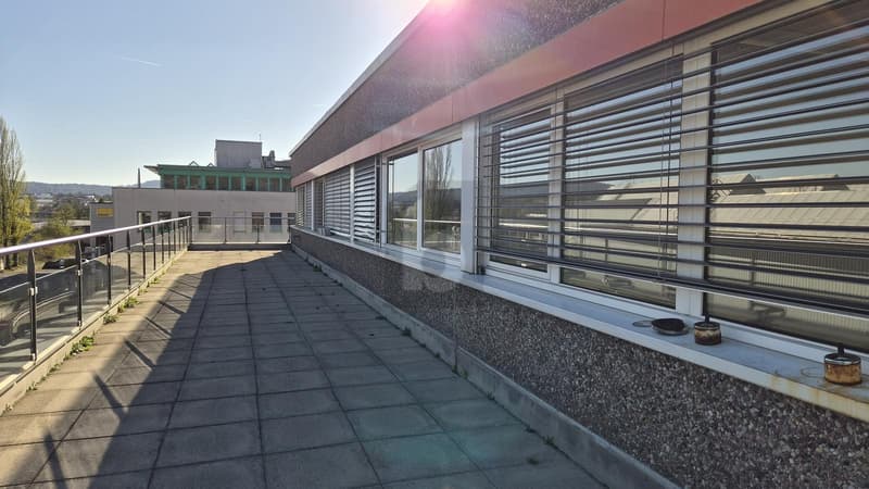 Renovated - Individually with Terrace (5)